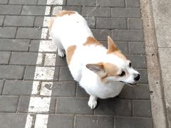 -贤合庄卤味火锅(济南泉城路店)