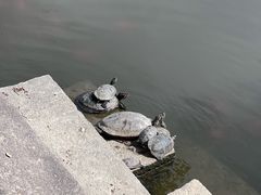 -阿育王寺素斋馆