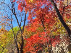 -关门山森林公园