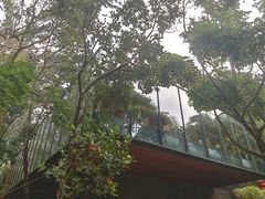 -七仙岭君澜度假酒店·桃源小馆中餐厅
