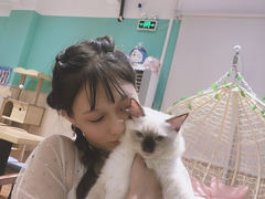 -绒爪撸猫下午茶·猫咖