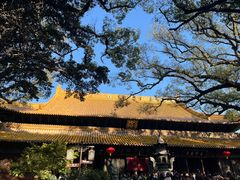 -普陀山风景名胜区-法雨禅寺