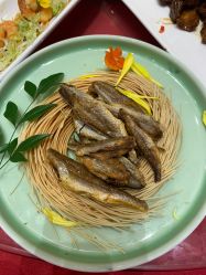 -陶然花园·婚宴