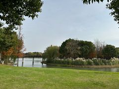 -贡湖湾湿地公园