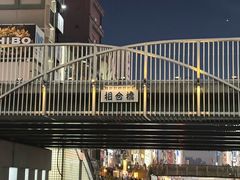 -道顿堀水上观光船(太左衛門橋船着場)