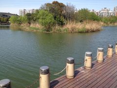 iphone_upload_pic-新江湾城公园