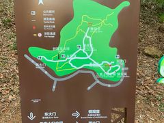 -上海佘山国家森林公园天马山园