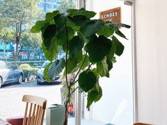 靠窗位-echoes coffee回响咖啡(红山店)