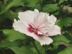 -绣园·茶食宴(湘绣博物馆店)