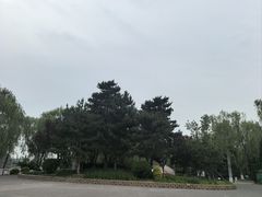 -大兴滨河森林公园