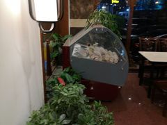 -燕郊烧鸽子(广安路店)
