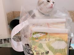 -爸爸糖吐司面包(郑州正弘城店)
