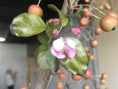 -山下C5cafe(惠通时代广场店)