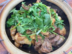 -华仔土鸡店(南洲分店)
