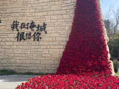 -淹城春秋乐园
