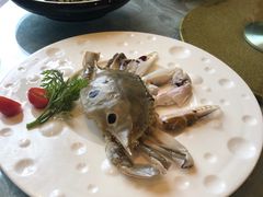 -莆鑫海鲜城(浏河店)