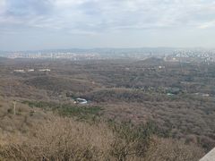-紫金山天文台