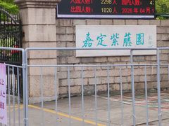 -嘉定紫藤园