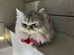-小时光咖啡馆(北锣鼓巷店)