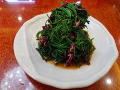 凉拌沙葱-国强手抓(西夏区店)