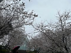 -重庆南山海昌汤都