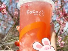 -CoCo都可(天虹广场)