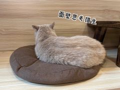 -Double cafe