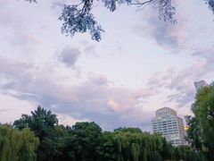 -团结湖公园