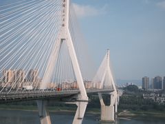 -大渡口区义渡公园
