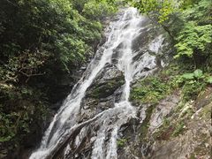 -梧桐山风景名胜区
