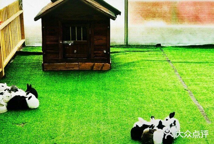 春日遛娃，就去动物乐园！