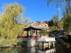 -北宫国家森林公园