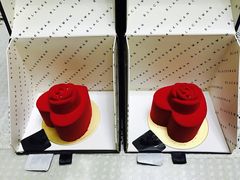 -BLACKSWAN黑天鹅(环球店)