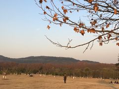 -钟山体育运动公园