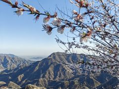 -大岭沟猕猴桃谷风景区