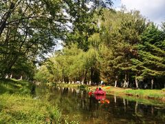 -长白岛森林公园