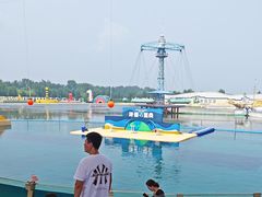 -秦皇岛乐岛海洋王国