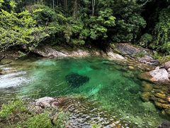 -黄山翡翠谷景区