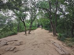 -灵岩山风景区