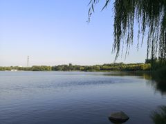 -大兴滨河森林公园