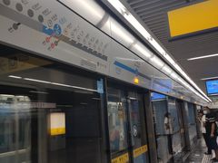 -大龙山(地铁站)