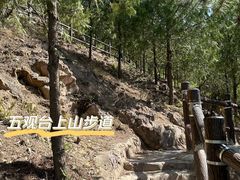 -北京十三陵国家森林公园蟒山景区