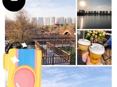 -五缘湾湿地公园