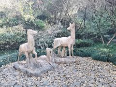 -杭州半山国家森林公园-龙山公园