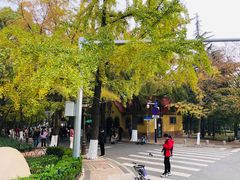 -八大关景区