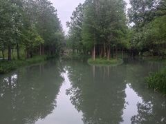 -西溪国家湿地公园