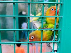 -杭州开元森泊度假乐园