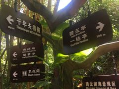 -呀诺达热带雨林