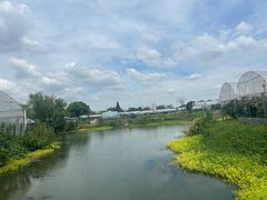 -马陆小张葡萄园农家乐