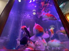 -东来菜馆•手抓海鲜家常菜•海鲜锅贴(鸽子窝店)